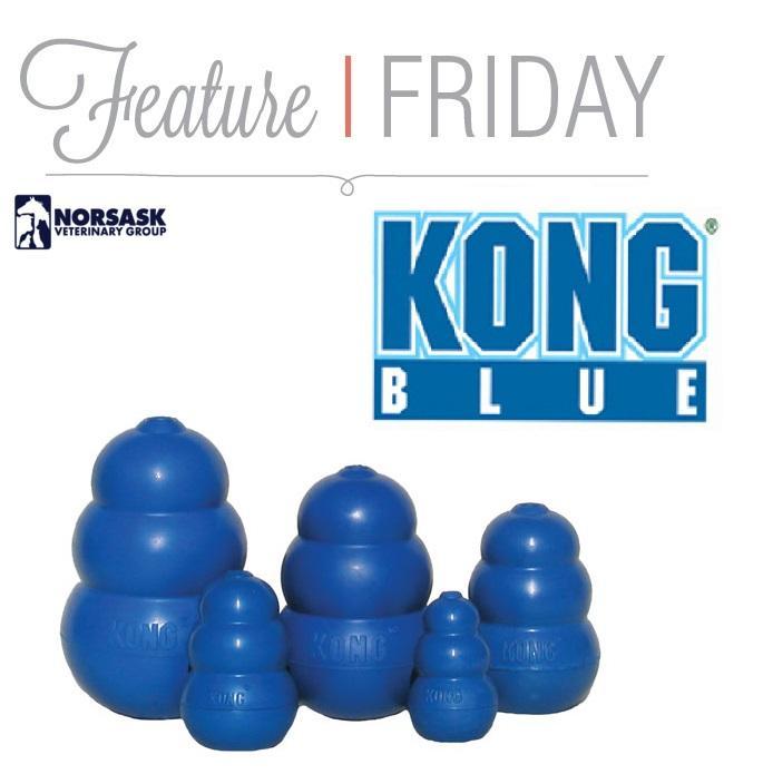 kong vet products